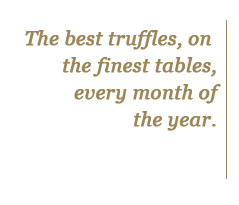 The best truffles on the finest tables every month of the year
